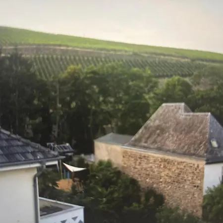 Weinberg Bad Neuenahr-Ahrweiler